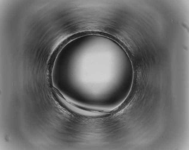 X0000095130926200712071304