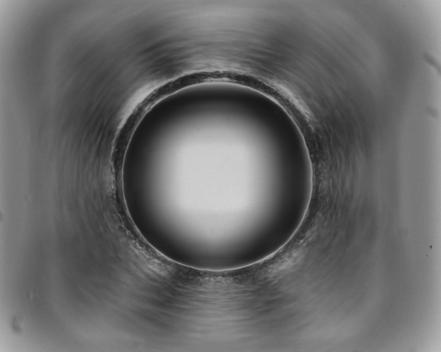 X0000095130927200712071304