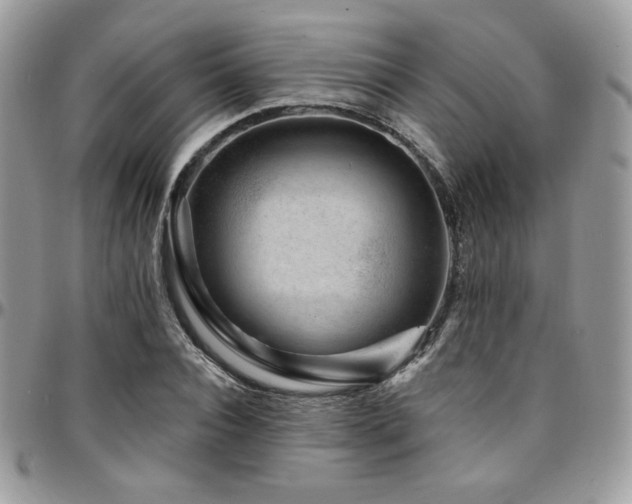 X0000095130928200712071304