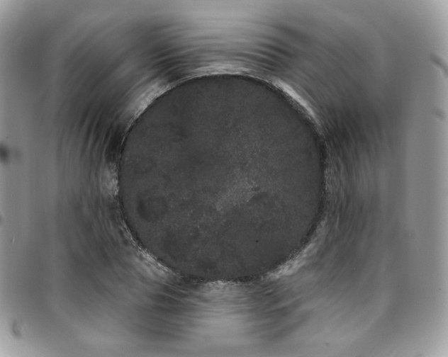 X0000095130929200712071304