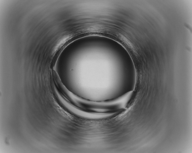 X0000095130930200712071304