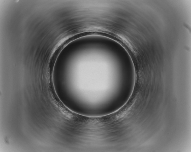 X0000095130931200712071304