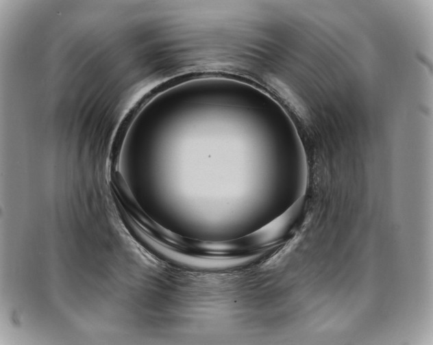 X0000095130932200712071304