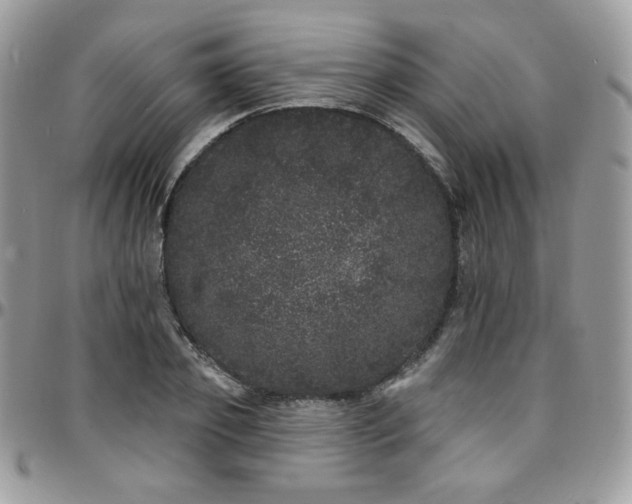X0000095130933200712071304