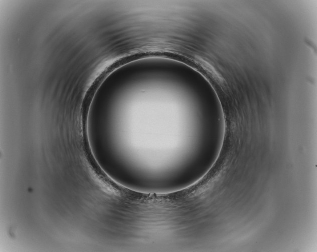 X0000095130934200712071304