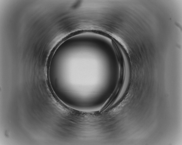 X0000095130935200712071304