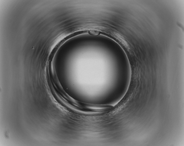 X0000095130936200712071304