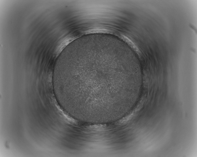 X0000095130937200712071304