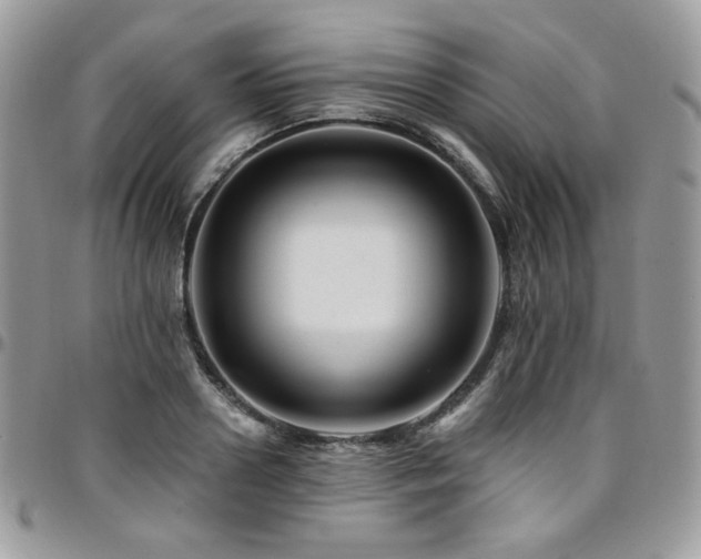 X0000095130938200712071305