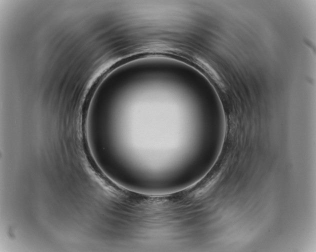 X0000095130939200712071305