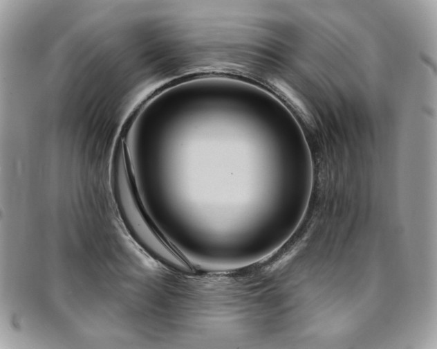 X0000095130940200712071305