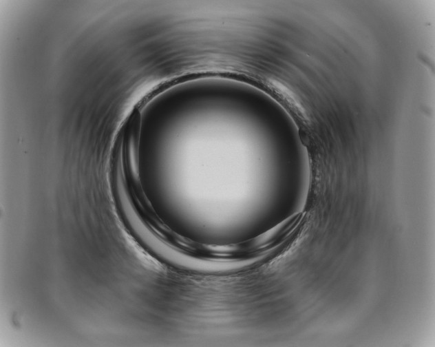 X0000095130942200712071305