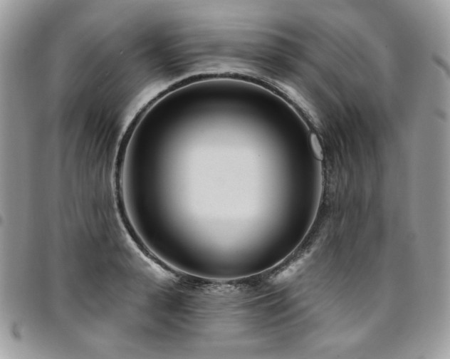 X0000095130943200712071305