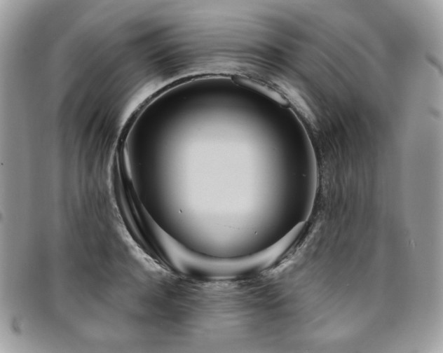 X0000095130944200712071305