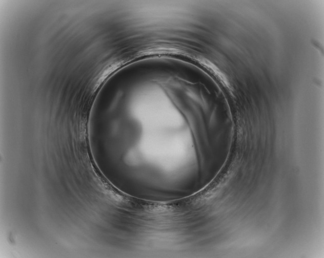 X0000095130945200712071305