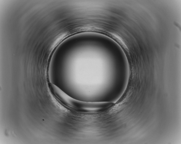 X0000095130946200712071305