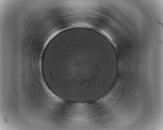 X0000095130947200712071305