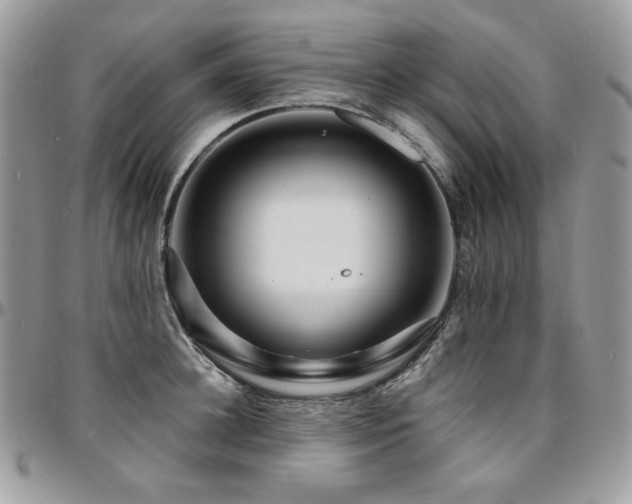 X0000095130948200712071305