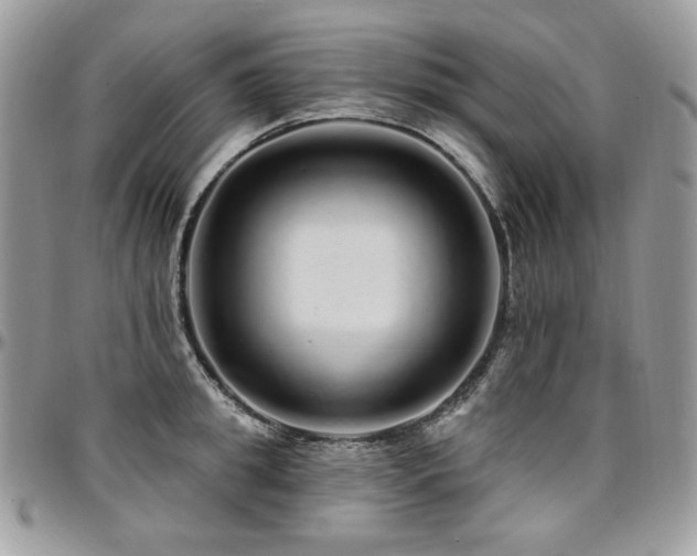 X0000095130949200712071305