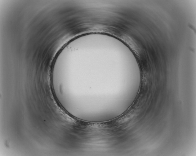 X0000095130950200712071305