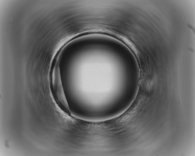 X0000095130951200712071305