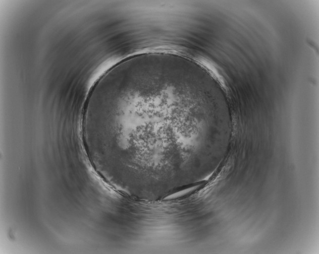 X0000095130952200712071305