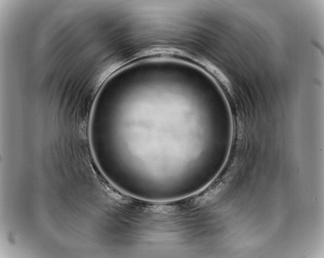 X0000095130953200712071305