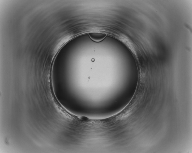 X0000095130954200712071305