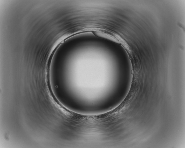 X0000095130955200712071305