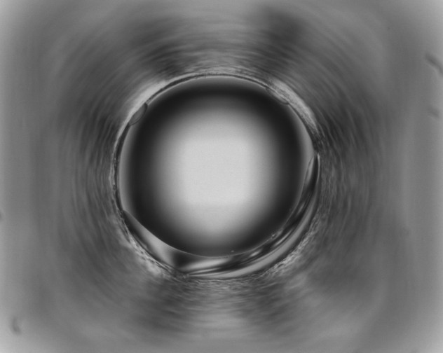 X0000095130956200712071305