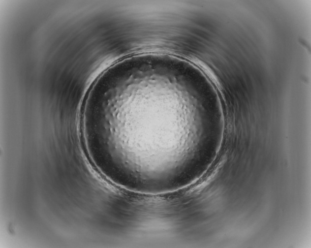 X0000095130957200712071305