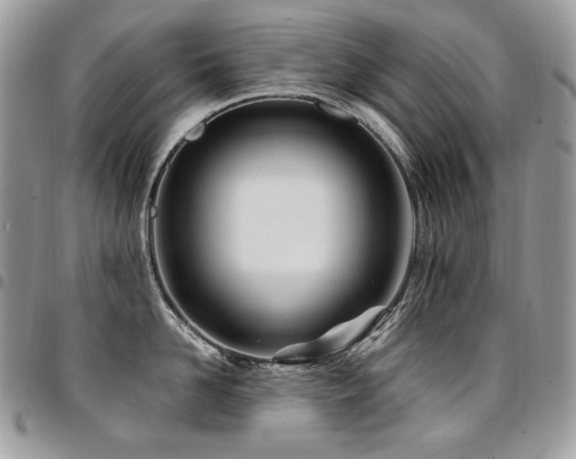 X0000095130958200712071305