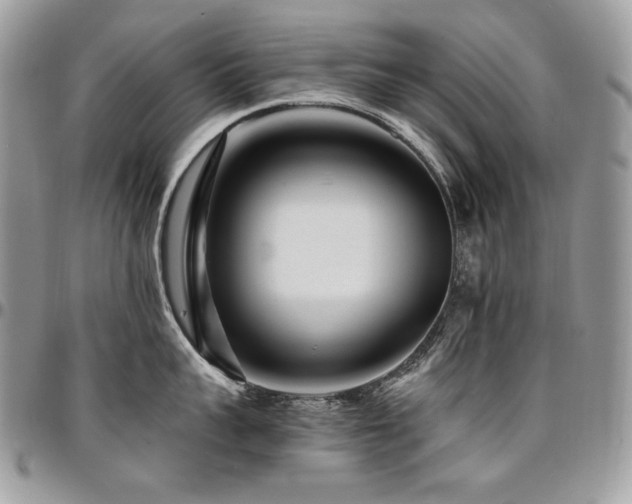 X0000095130959200712071305