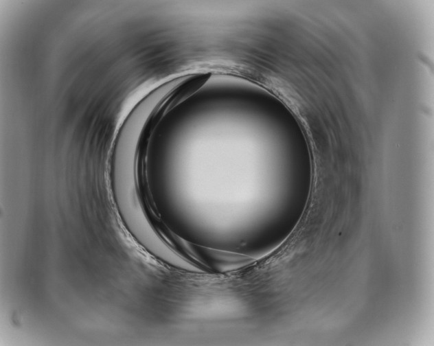 X0000095130960200712071305