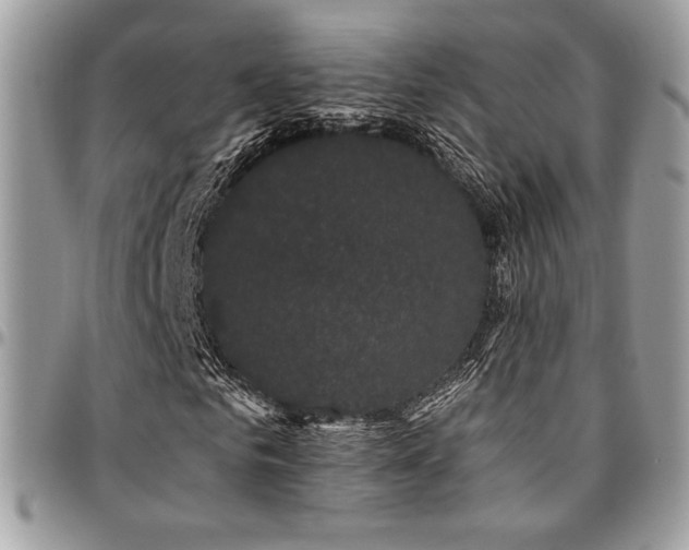 X0000095130961200712071304