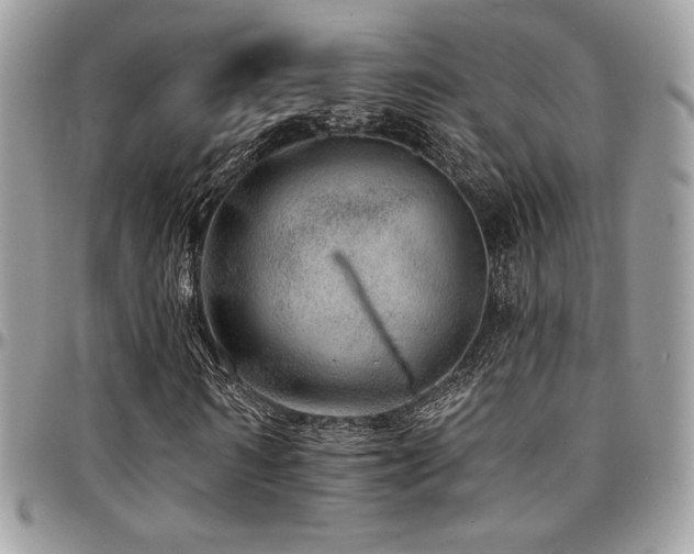 X0000095130962200712071304