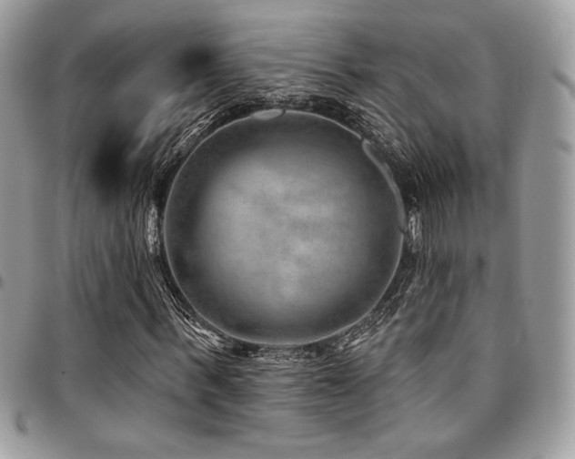 X0000095130963200712071304