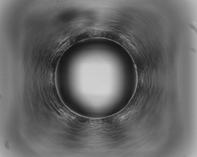 X0000095130964200712071304