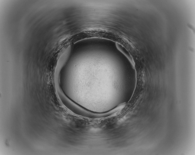 X0000095130965200712071304