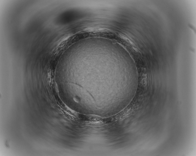 X0000095130966200712071304