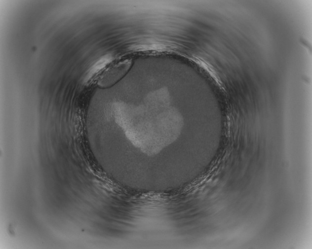 X0000095130967200712071304