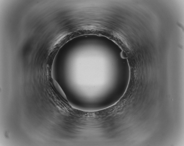X0000095130968200712071304