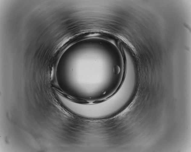 X0000095130969200712071304