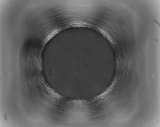 X0000095130970200712071304