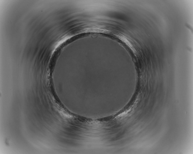 X0000095130971200712071304