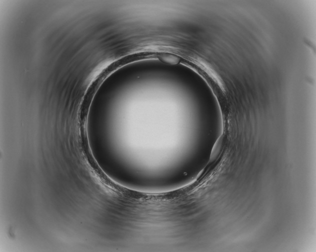 X0000095130972200712071304