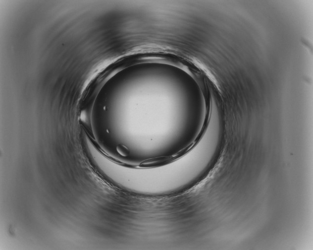 X0000095130973200712071304