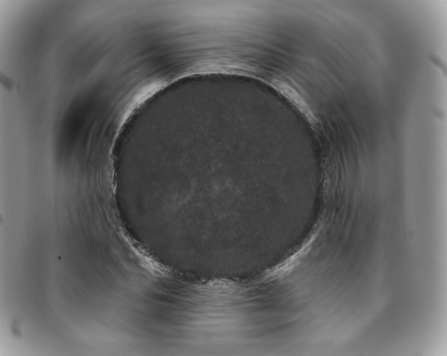 X0000095130974200712071304