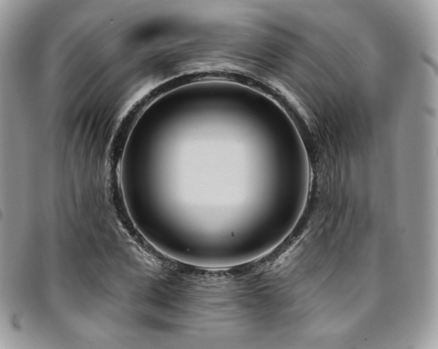 X0000095130975200712071304