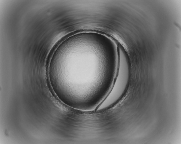 X0000095130976200712071304